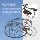 JDMSPEED Ls Standalone Wiring Harness For 6L80E/6L90E 58X DRIVE BY WIRE DBW