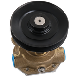 JDMSPEED Raw Water Pump Replaces G910P GM46936 GM104855 JDMSPEED