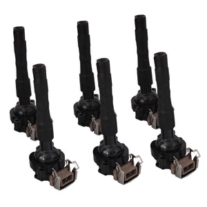 JDSMSPEED NEW 6 PCS IGNITION COILS For BMW E46 E39 X5 E36 325 330 328 M3 2.3 2.5 2.8 3.0